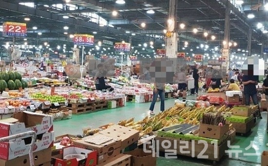 부산시가 설 명절 대비 물가안정을 위해 오는 18일부터 내달 10일까지 특별대책기간을 운영한다.(사진은 반여동농산물시장=일요부산DB) 부산시가 설 명절 대비 물가안정을 위해 오는 18일부터 내달 10일까지 특별대책기간을 운영한다.(사진은 반여동농산물시장=일요부산DB)