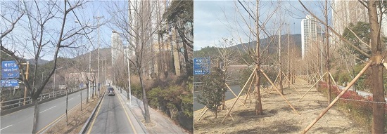 좌측부터 관문대로 도시바람길숲 조성공사 전, 후.(사진출처=부산시) 좌측부터 관문대로 도시바람길숲 조성공사 전, 후.(사진출처=부산시)