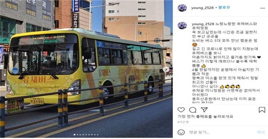유채버스 SNS 후기.(출처=부산시) 유채버스 SNS 후기.(출처=부산시)