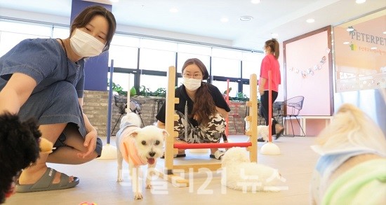 북구는 반려동물 친화도시로 거듭나기 위해 반려견과 애견인을 위한 다양한 사업을 진행하고 있다 사진 (제공=북구청) 북구는 반려동물 친화도시로 거듭나기 위해 반려견과 애견인을 위한 다양한 사업을 진행하고 있다 사진 (제공=북구청)