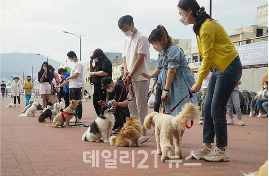 영도구 ‘흰여울 힐링 산책’ 행사 사진 (제공=부산시청) 영도구 ‘흰여울 힐링 산책’ 행사 사진 (제공=부산시청)