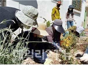 도시재생형 마을정원사 교육과정 마을정원 조성모습.(출처=부산시 농업기술센터) 도시재생형 마을정원사 교육과정 마을정원 조성모습.(출처=부산시 농업기술센터)