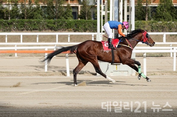 위너스맨. 위너스맨.