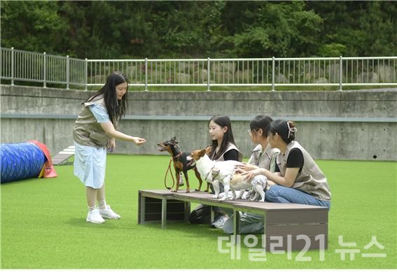 신라대학교가 국내 최초로 캠퍼스 내 반려견 전문 유치원 개설을 추진한다.(사진제공=신라대학교) 신라대학교가 국내 최초로 캠퍼스 내 반려견 전문 유치원 개설을 추진한다.(사진제공=신라대학교)