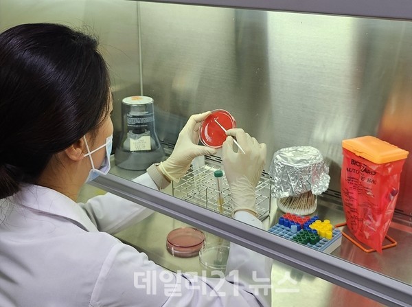 대구시 보건환경연구원이 가축질병 진단능력 평가에서 우수를 받았다./사진=대구시 제공