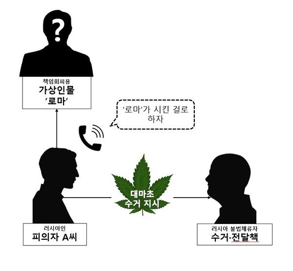 피의자 A씨 관련 사건(인물) 개요도./관세청 제공 피의자 A씨 관련 사건(인물) 개요도./관세청 제공